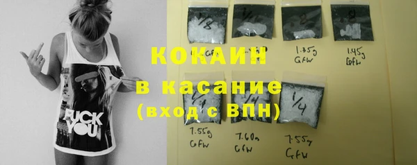 стафф Алексин