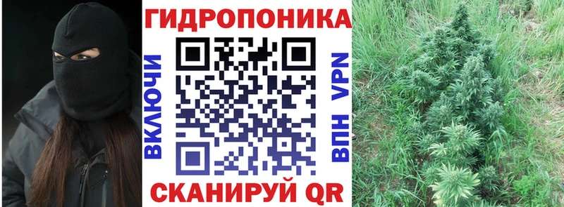 купить наркотик  Минусинск  Конопля Bruce Banner 